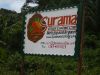 Guyana_016.jpg
